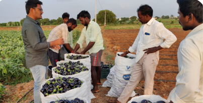 Consumer Marketplace