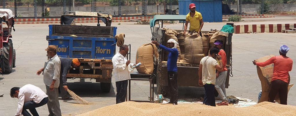 Fostering growth and prosperity by supporting Farmer Collectives – Avantika FPC, Madhya Pradesh