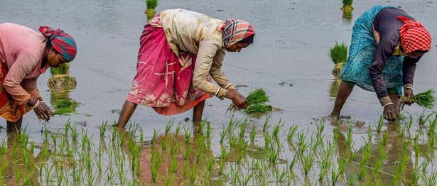 DFC and USAID announce $55 million guarantee programme in India