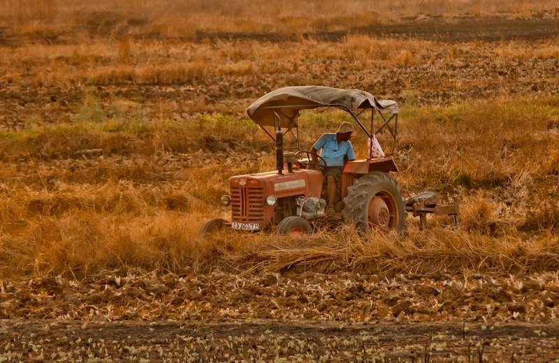 Agri Startups in 2021: Why Agri Innovation Is A Top Priority