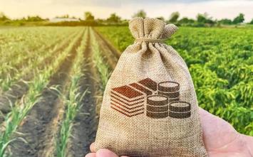 Samunnati launches new scheme to crowdsource funds to cover small farmers’ risks