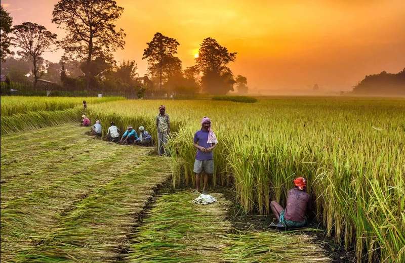 How connected agri-value chains can pave way for an Atmanirbhar farming sector