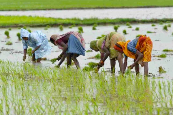 Samunnati plans to raise $100 million in Series E round to fund expansion